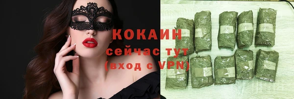 apvp Алзамай
