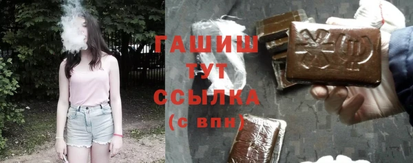 apvp Алзамай