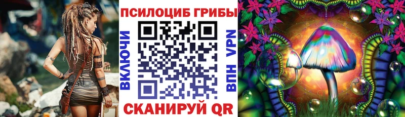 Галлюциногенные грибы мицелий  где можно купить   Обоянь 